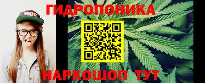 хмурый Боровичи