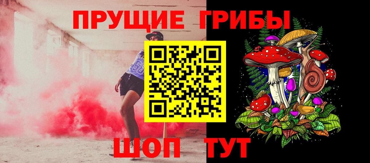 Псилоцибиновые грибы Psilocybe Воронеж