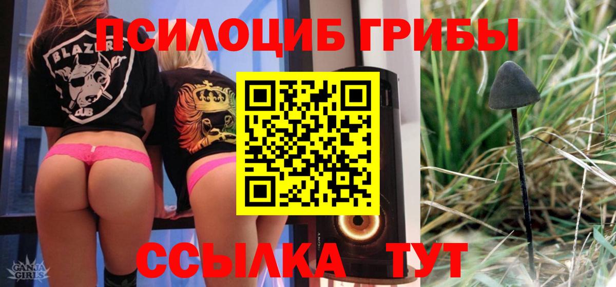 Воронеж  Псилоцибиновые грибы Magic Shrooms  Вход с VPN 
